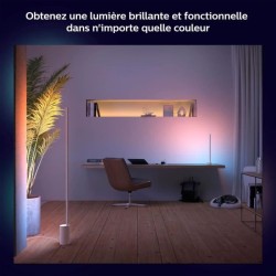 Philips Hue White and Color Ambiance, Lampe a poser Gradient Signe