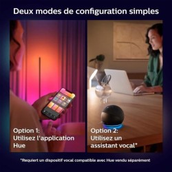 Philips Hue White and Color Ambiance, Lampe a poser Gradient Signe