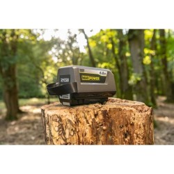 RYOBI - 1 batterie lithium+ 36V MAXPOWER 6,0 Ah High Energy - gestion individ...