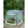 Serre de jardin Pop-Up - NATURE - 100x100x100 cm - PE transparent - Protectio...
