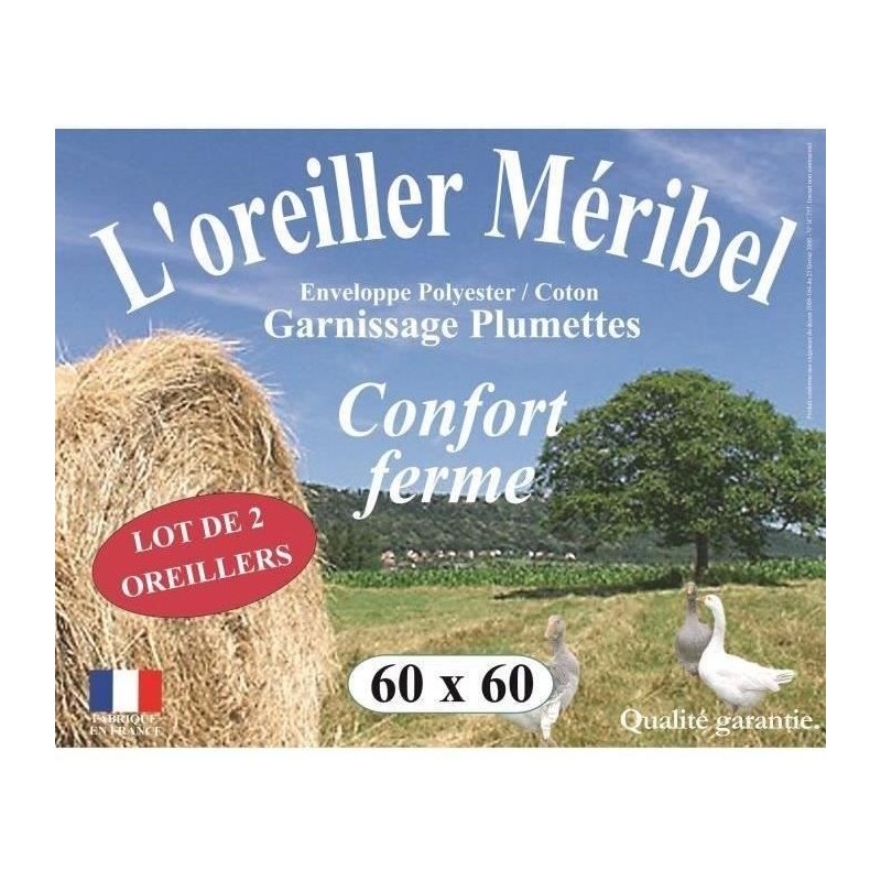 DODO Lot de 2 Oreillers MERIBEL Plumettes 60x60cm