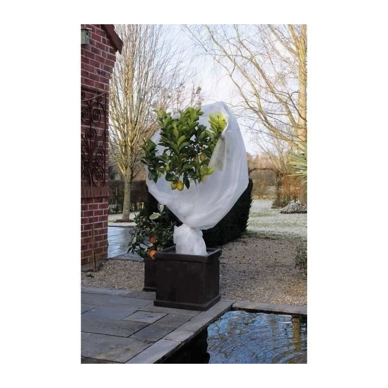 Nature Couverture en polaire d'hiver 30 g/m² Blanc 2x10 m