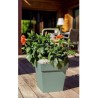 Pot de fleurs Carré 32 cm - EDA - Toscane - 22 L - 32 x 32 x H.32 cm - Vert L...