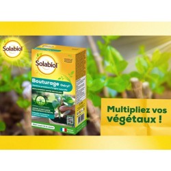 SOLABIOL Bouturage osiryl - 40ml - Jusqu'a 20L de solution - Stimulateur raci...