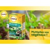 SOLABIOL Bouturage osiryl - 40ml - Jusqu'a 20L de solution - Stimulateur raci...