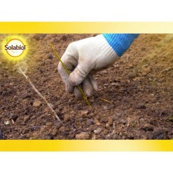 SOLABIOL Bouturage osiryl - 40ml - Jusqu'a 20L de solution - Stimulateur raci...