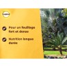 SOLABIOL Engrais palmiers et plantes méditerranéennes - 1,5kg - Jusqu'a 7 pal...