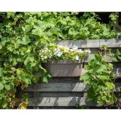 Jardiniere+crochet - GARDEN ID Star - Taupe 50 x 21 cm - Fixation facile - Ré...