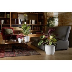 Cache-pot - EDA - OPALE - 14,8 L - Ø 29,5 x H.27,1 cm - Blanc ivoire