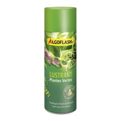ALGOFLASH - Lustrant Plantes Vertes 250 mL