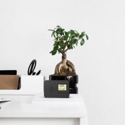 Radio réveil intelligent EVOOM LEKIO avec affichage de la date, heure, tempér...