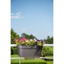 Jardiniere+crochet - GARDEN ID Star - Noir-Anth 50 x 21 cm - Fixation facile ...