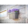 Pot mural - GARDEN ID Star - Taupe 36 x 16 cm - Réserve d'eau avec systeme de...