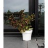 Pot a réserve d'eau - GARDEN ID Glamour - Blanc 40 cm - Surface granuleuse - ...