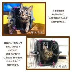 Panier de transport pour chats et petits 5kg chiens JET 10 32x47x29 - Plastiq...