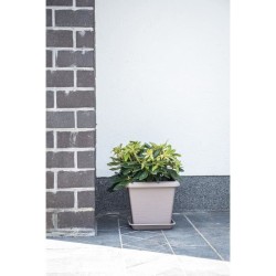 Pot de fleurs carré - GARDEN ID - Teramo Taupe - 40 x 35 cm - Résistant aux R...