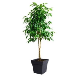 Pot de fleurs Carré 40 cm - EDA - Toscane - 38 L - 39 x 39 x H.39 cm - Gris A...