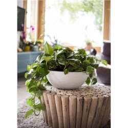 Pot vasque Ø 40 cm - EDA - Graphit Up - 14,9 L - Intérieur / Extérieur - Ø 40...