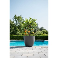 Pot de fleurs - GARDEN ID - Phoenix Anthracite - 38 x 34 cm - 100% Recyclé et...