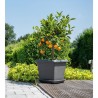 Pot de fleurs carré - GARDEN ID - Teramo noir-anthracite - 40 x 35 cm - Résis...
