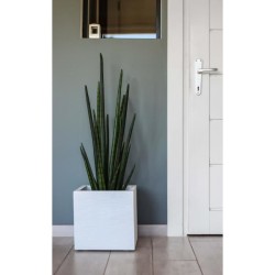 Pot de fleurs Carré 30 cm - EDA - Graphit Up - 21 L - Intérieur / Extérieur -...