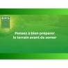 Semence de gazon - BHS - Gazon Ombre 1kg | 40m² | Résistant a la faible lumin...