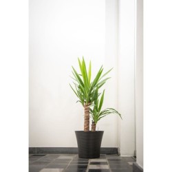 Pot de fleurs - GARDEN ID - Green Care Sense Noir-Anthracite - 30 x 27 cm - G...