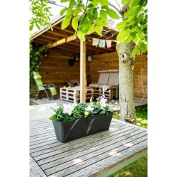 Jardiniere - GARDEN ID - Green Care Impact Noir-Anth - 50 x 16 x 16 cm - Gara...