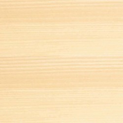 BONDEX Lasure 2 en 1 Satin Haute Protection 5 ans - Incolore