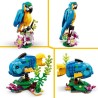 LEGO Creator 3-en-1 31136 Le Perroquet Exotique, Figurines Animaux de la Jung...