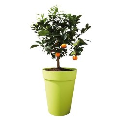 ELHO Pot de fleurs Rond Loft Urban - Ø 34 x 45,6 cm - 23 l - Gris anthracite