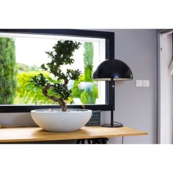 Pot vasque Ø 59 cm - EDA - Graphit UP - 39 L - Ø 59 x H. 21 cm - Blanc cérusé