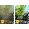 CIANO, Aquarium Consommables - Cartouches de Filtration de Rechange pour Filt...