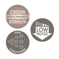 REMINGTON D5715 Seche-Cheveux Professionnel Ionique Thermacare 2300W, Grille ...