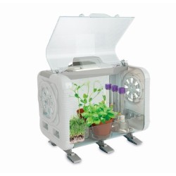 CLEMENTONI - Ma serre high-tech - 3 maniere de faire pousser -