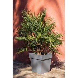 Pot de fleurs Carré 50 cm - EDA - Toscane - 87 L - 49,5 x 49,5 x H.52,5 cm - ...