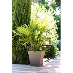 Pot de fleurs Carré 50 cm - EDA - Toscane - 87 L - 49,5 x 49,5 x H.52,5 cm - ...