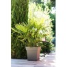 Pot de fleurs Carré 50 cm - EDA - Toscane - 87 L - 49,5 x 49,5 x H.52,5 cm - ...