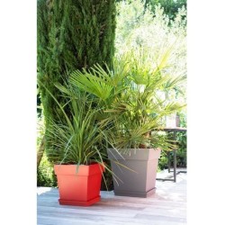 Pot de fleurs Carré 50 cm - EDA - Toscane - 87 L - 49,5 x 49,5 x H.52,5 cm - ...
