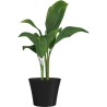 Pot de fleurs - GARDEN ID - Green Care Sense Noir-Anthracite - 40 x 34 cm - G...