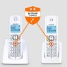Téléphone sans fil - ALCATEL - F530 Duo - 2 combinés, blocage d'appels, mains...