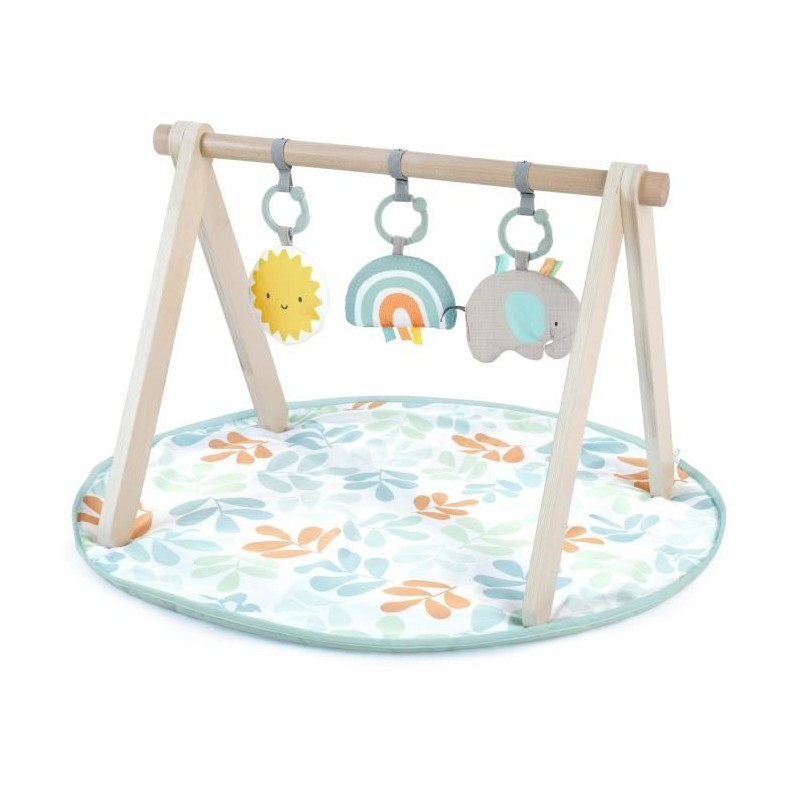 INGENUITY Tapis d'éveil bébé Sun Valley, arche de jeu en bois - 3 jouets amov...