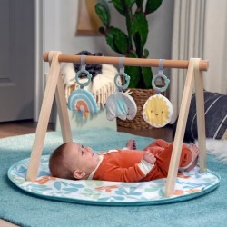 INGENUITY Tapis d'éveil bébé Sun Valley, arche de jeu en bois - 3 jouets amov...