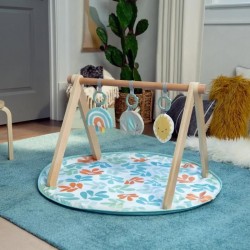 INGENUITY Tapis d'éveil bébé Sun Valley, arche de jeu en bois - 3 jouets amov...
