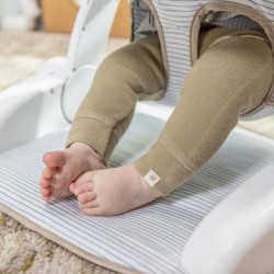 INGENUITY Casi le zebre, Siege bébé d'apprentissage - apporte support a bébé,...