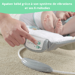 INGENUITY Transat pour bébé-Morrison- Arche avec jouets d'éveil amovible, 8 M...