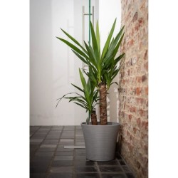 Pot réserve d'eau - GARDEN ID - Green Care Sense Bleu-Gris 40 cm - Garanti 10...