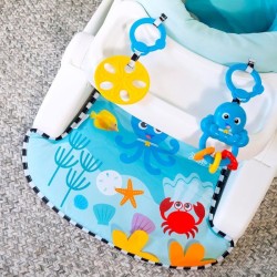 BABY EINSTEIN -OPUS ET NEPTUNE- Siege d'apprentissage bébé  4M+  apporte supp...