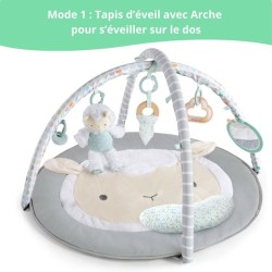 INGENUITY Tapis d'éveil bébé évolutif - Petit Mouton - Arche de jeu amovible,...