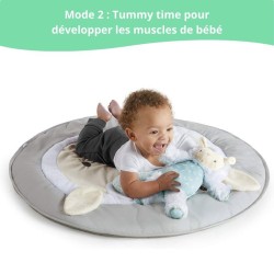 INGENUITY Tapis d'éveil bébé évolutif - Petit Mouton - Arche de jeu amovible,...
